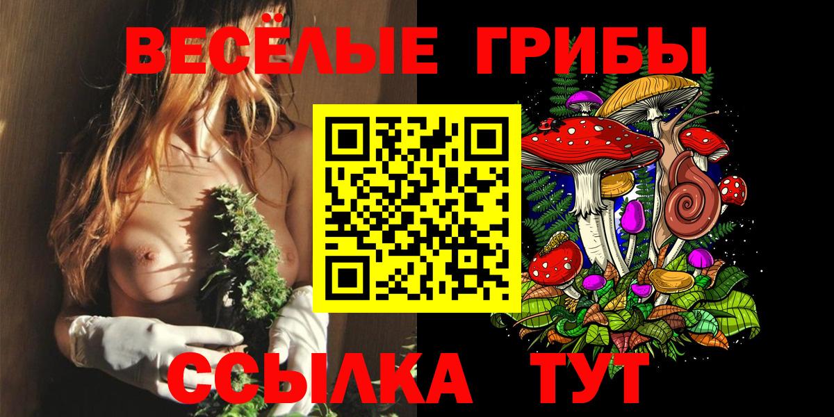 Галлюциногенные грибы прущие грибы  Вход с VPN  Лесосибирск  Галлюциногенные грибы Magic Shrooms 